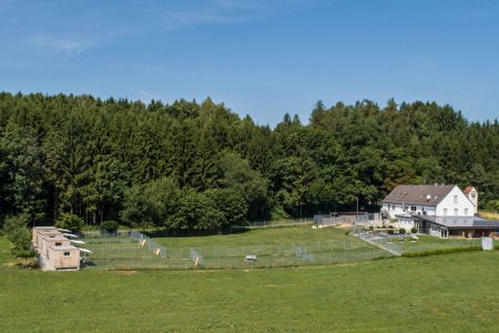 Grundstueck1